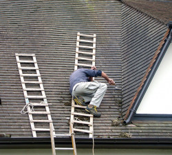 Démoussage à Deauville